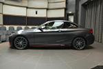 BMW M235i M Performance by Abu Dhabi Motors 2014 года